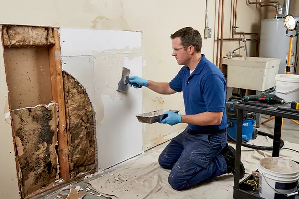 Mold and Drywall Repair Peoria
