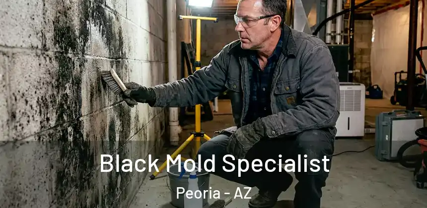 Black Mold Specialist Peoria - AZ