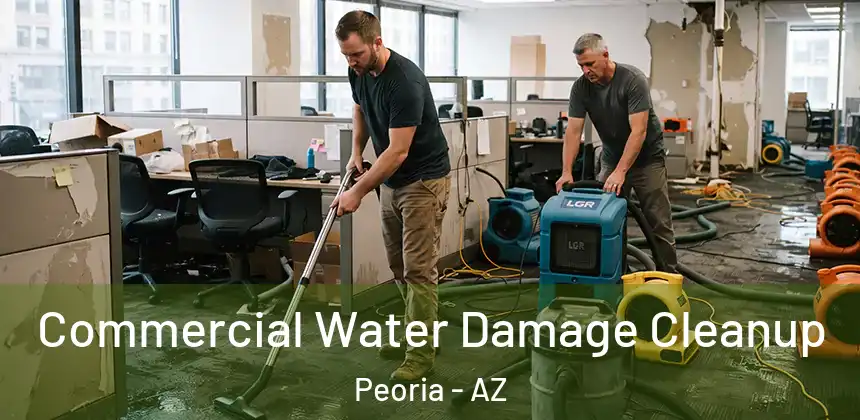 Commercial Water Damage Cleanup Peoria - AZ