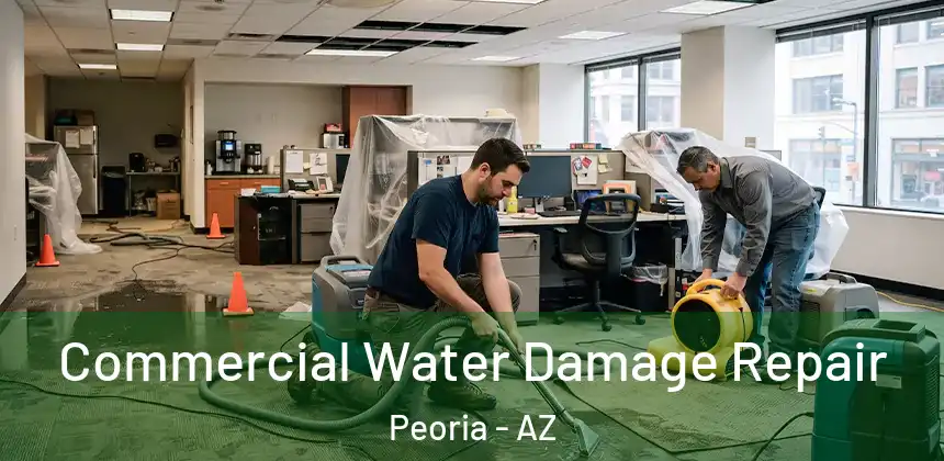 Commercial Water Damage Repair Peoria - AZ