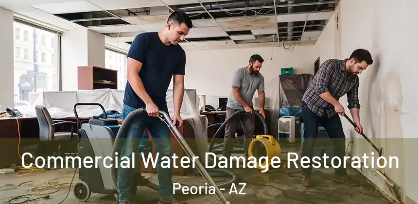  Commercial Water Damage Restoration Peoria - AZ
