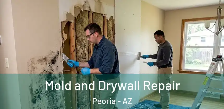 Mold and Drywall Repair Peoria - AZ