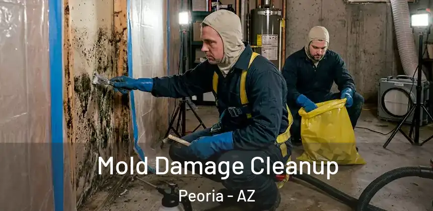 Mold Damage Cleanup Peoria - AZ