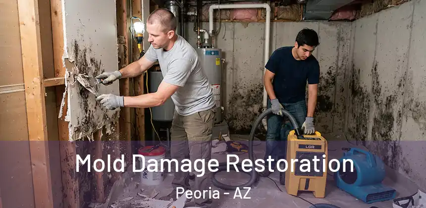 Mold Damage Restoration Peoria - AZ