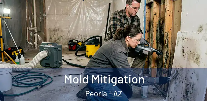 Mold Mitigation Peoria - AZ