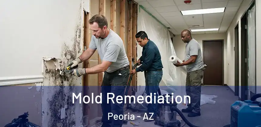 Mold Remediation Peoria - AZ
