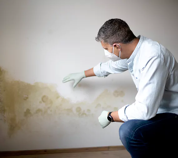 Mold Removal Service in Peoria, AZ