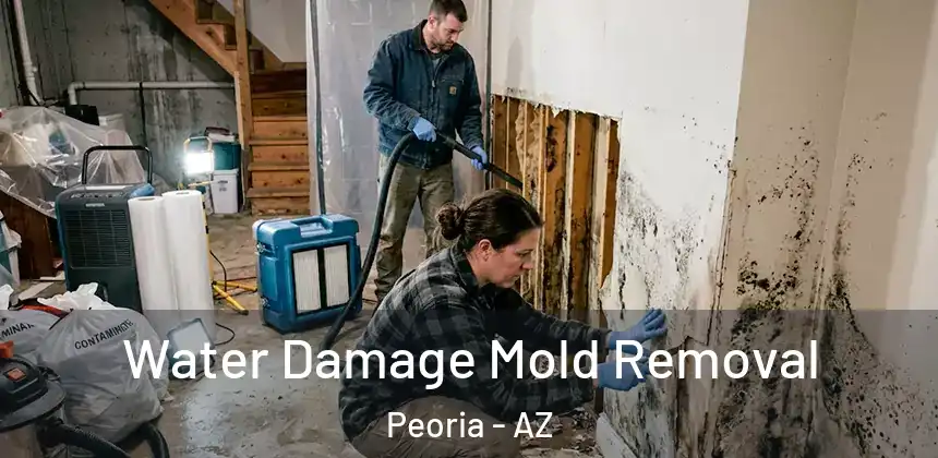  Water Damage Mold Removal Peoria - AZ