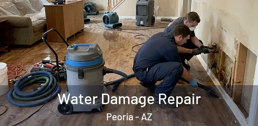  Water Damage Repair Peoria - AZ