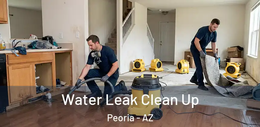  Water Leak Clean Up Peoria - AZ